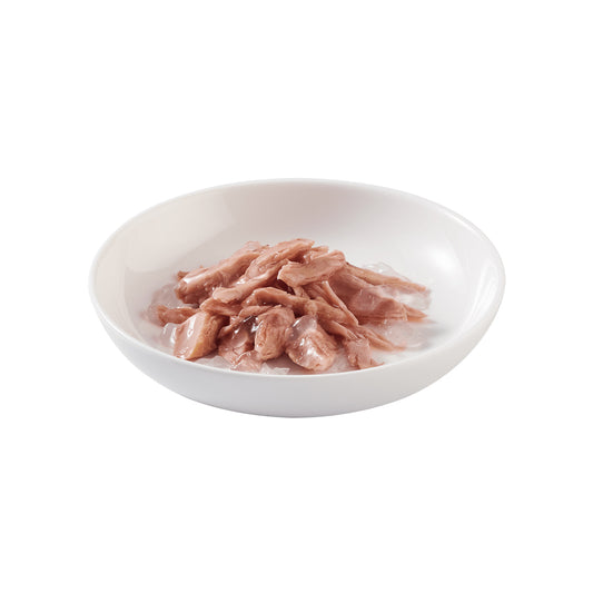 Schesir Cat Complete & Balanced in Jelly 85g (Dose)