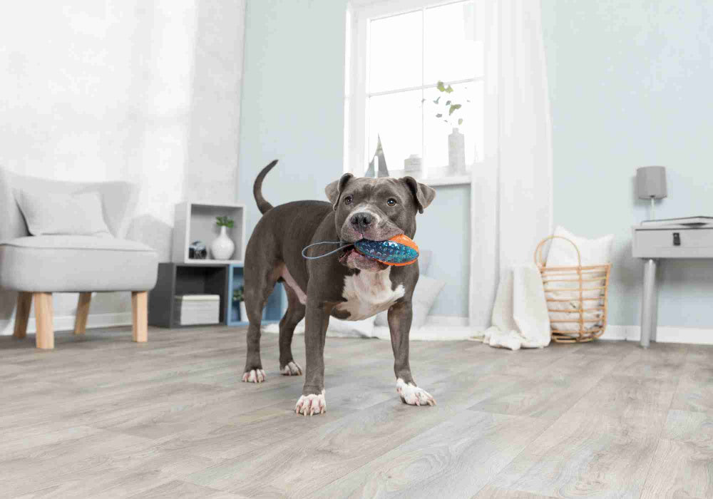 Trixie Push to mute, orange/blau
