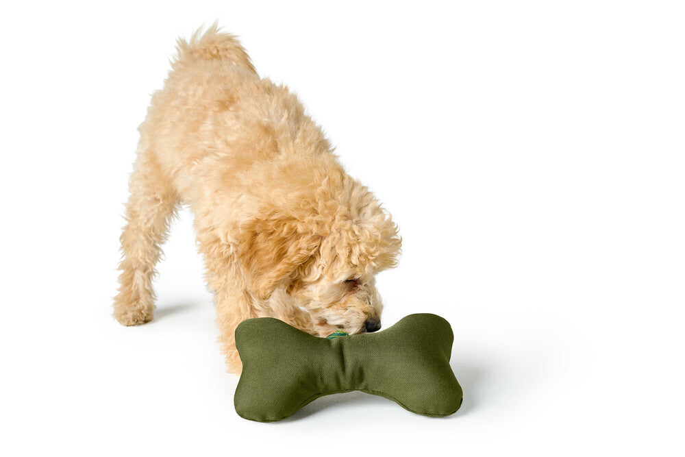 Hunter Hundespielzeug Cleveland