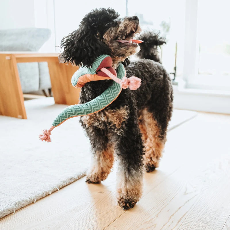 Hunter Recycling-Hundespielzeug Rio