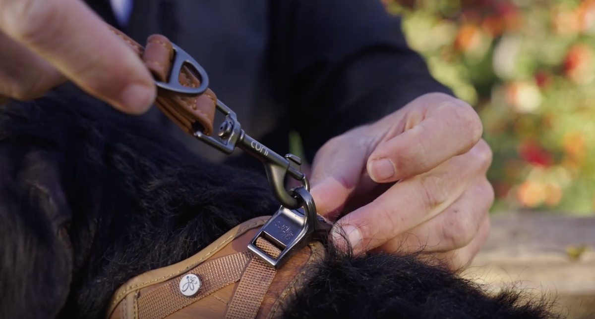 Curli Apple Leather verstellbare Leine