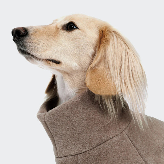 Cloud7 Hundepullover Cornwall Dackel Fleece toffee