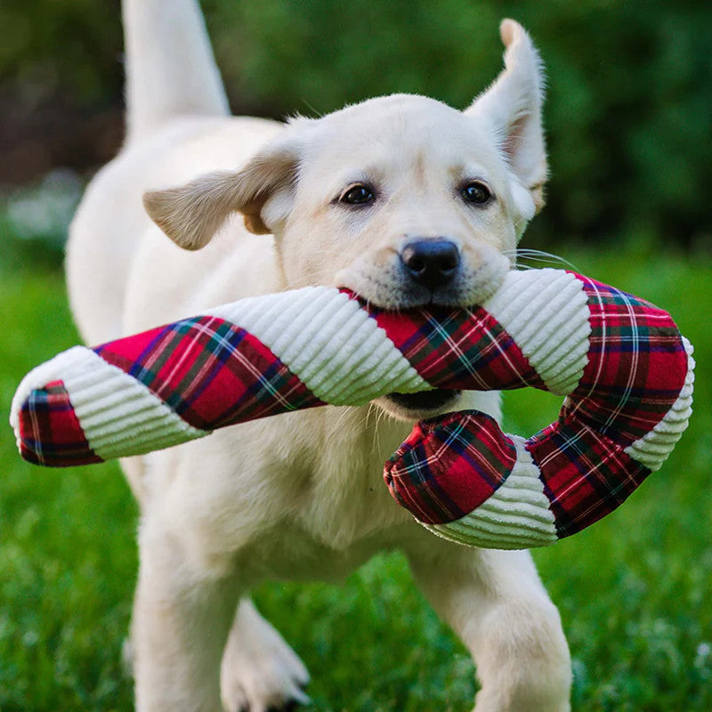HuggleHounds Totally Tartan Candy Cane