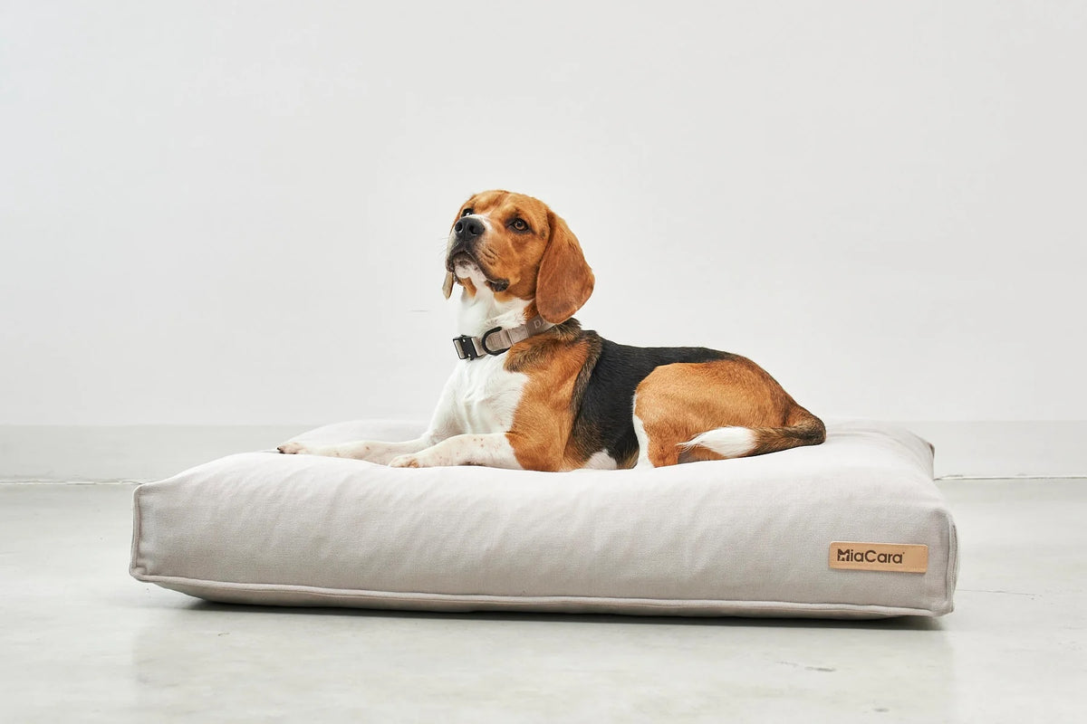 MiaCara Hundekissen Comodo Greige