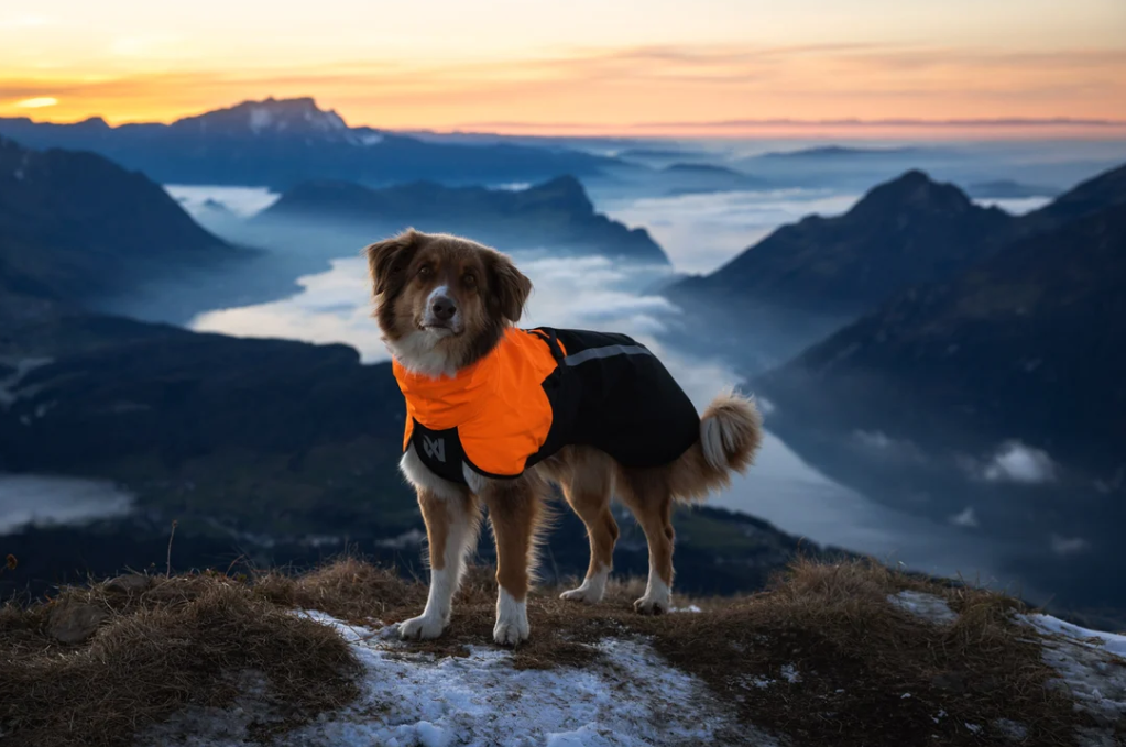 Non-stop dogwear Fjord raincoat 2.0 black/orange