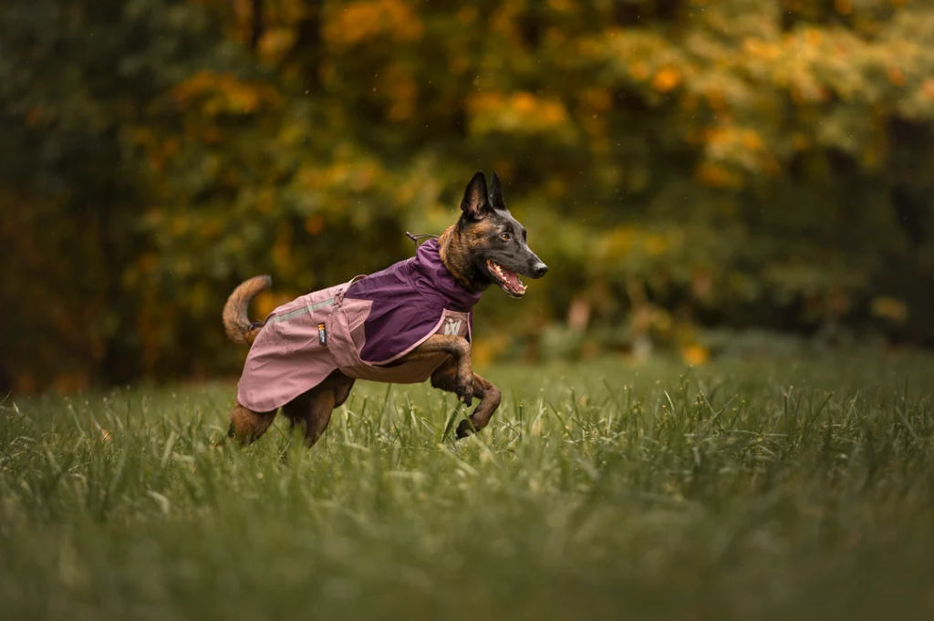 Non-stop dogwear Fjord raincoat 2.0 mauve