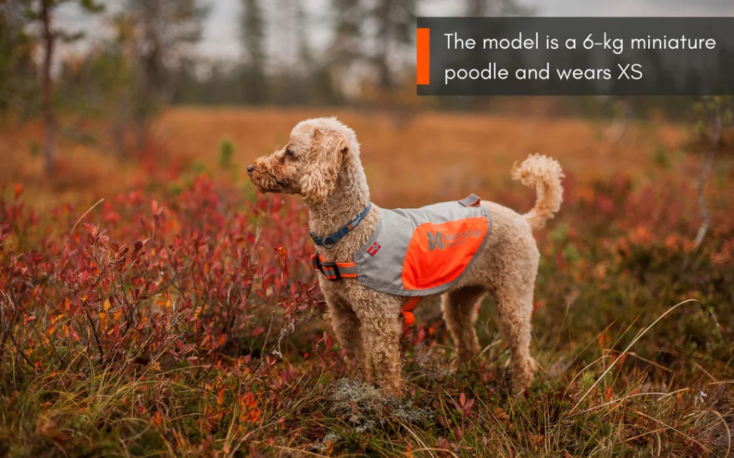 Non-stop dogwear Reflection Blanket