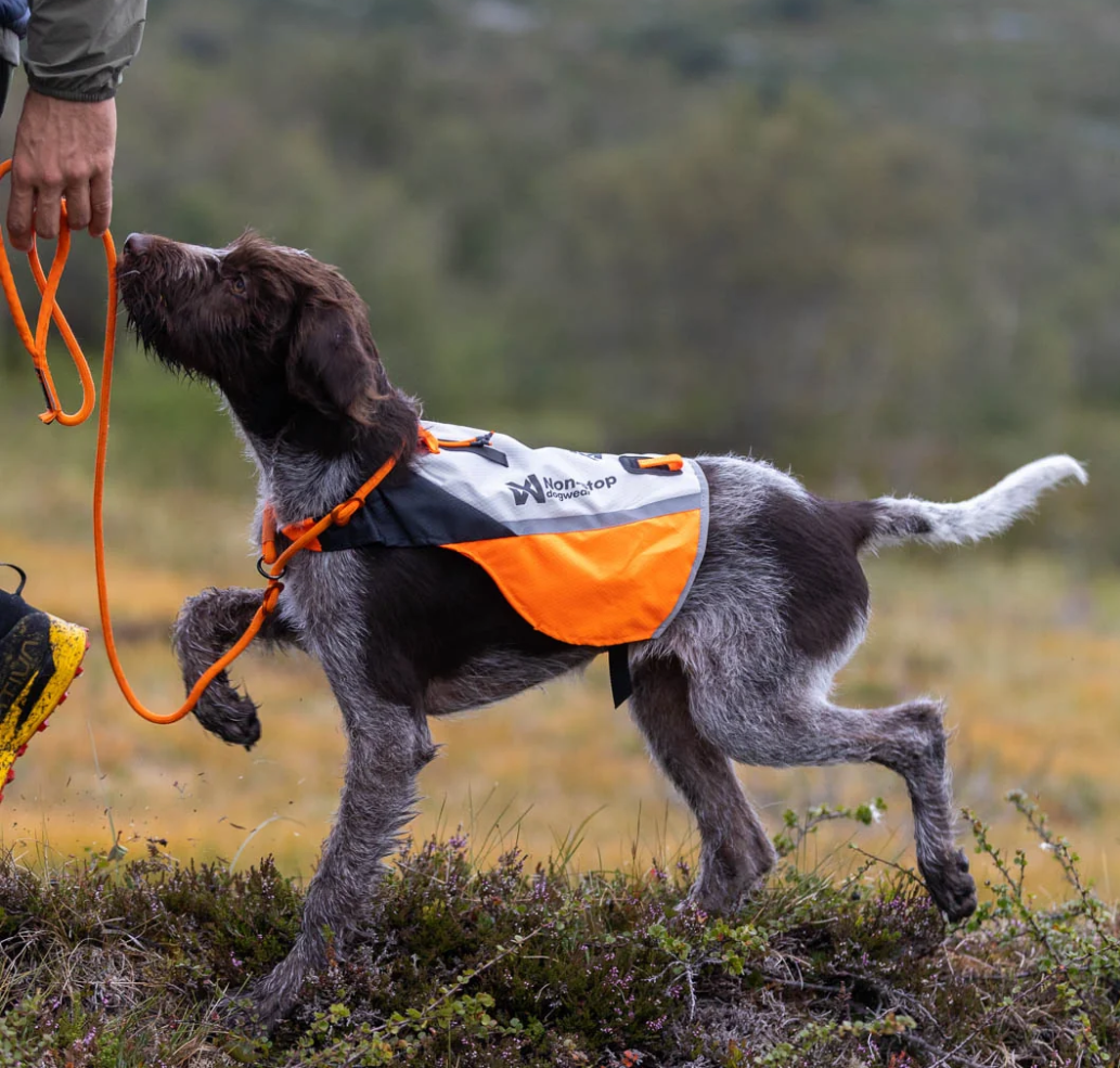Non-stop dogwear Protector Cover 2.0 white/black/orange