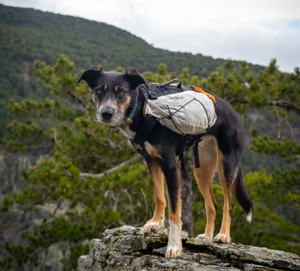 Non-stop dogwear Trail Light Dog Backpack glacier gray