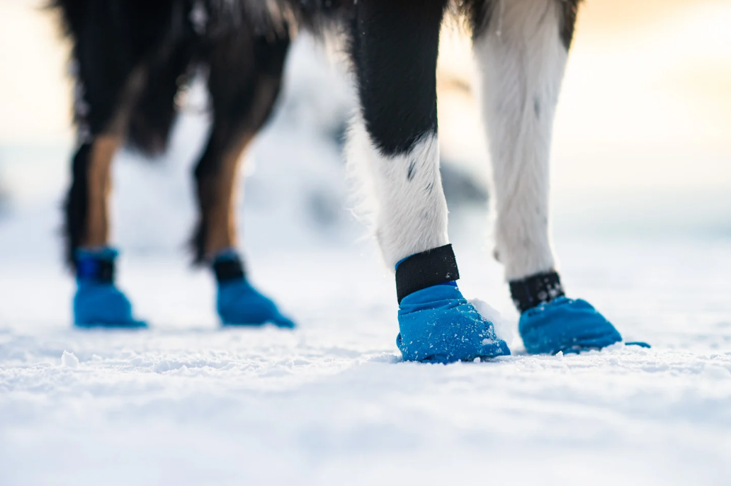 Non-stop dogwear Long distance Booties blue 4 Stück