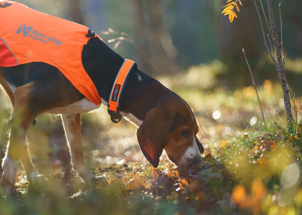 Non-stop dogwear Protector Collar orange