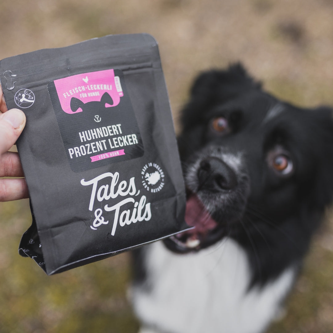 Tales&Tails Huhndert Prozent lecker 90g