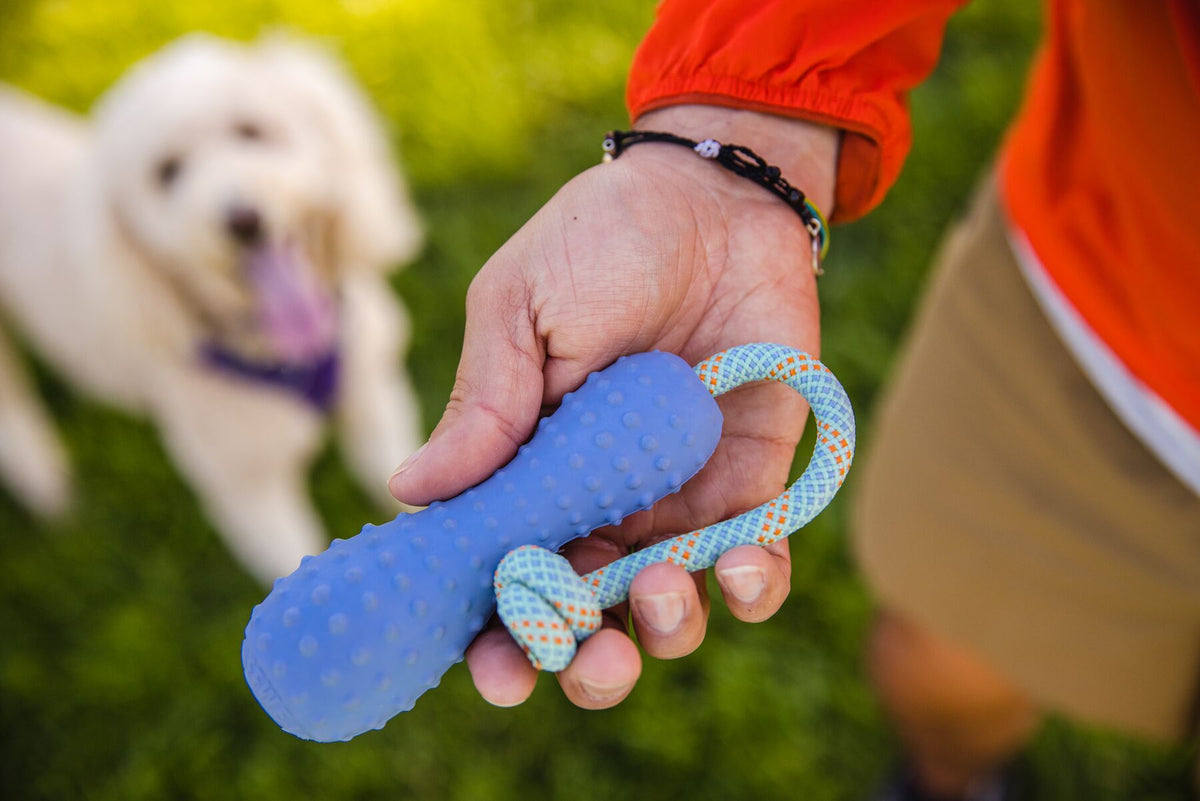 RuffWear Gourdo™ Toy Heliotrope Purple