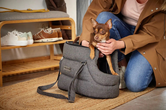 Wolters Dog Traveling Tragetasche 55x26x30cm dunkelgrau