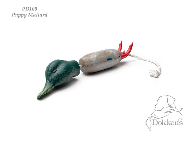 Dokken's Dead Fowl Stockente