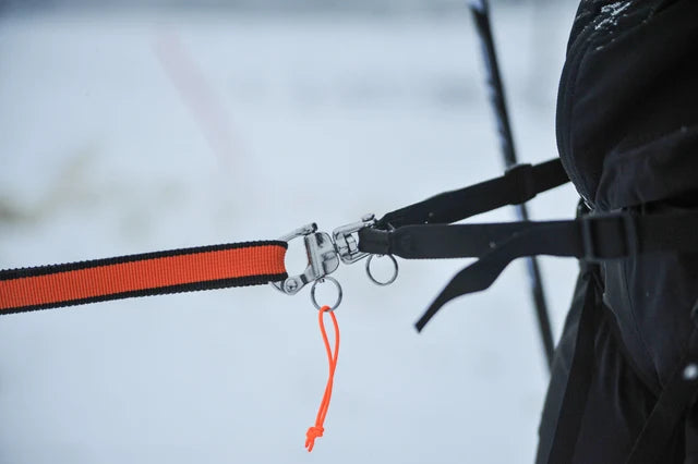 Non-stop dogwear Løype Belt pro