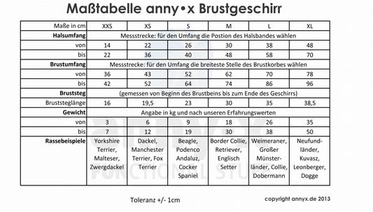 annyx Geschirr Safety grau / eisblau