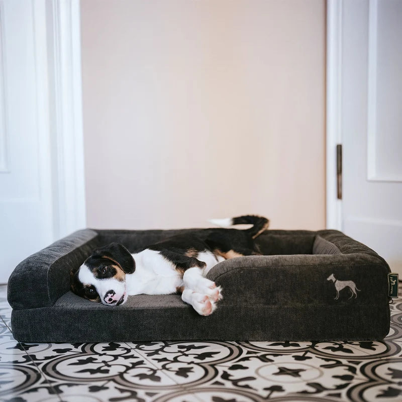 Hunter Orthopädisches Hundesofa Melun
