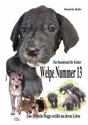 Welpe Nummer 13 [Daniela Behr]