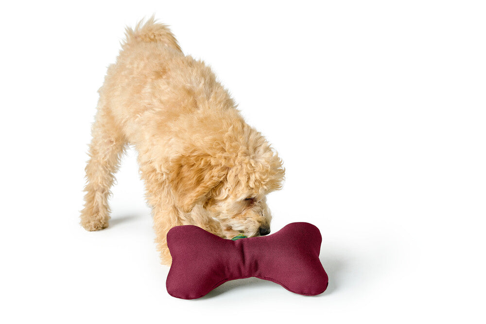Hunter Hundespielzeug Cleveland