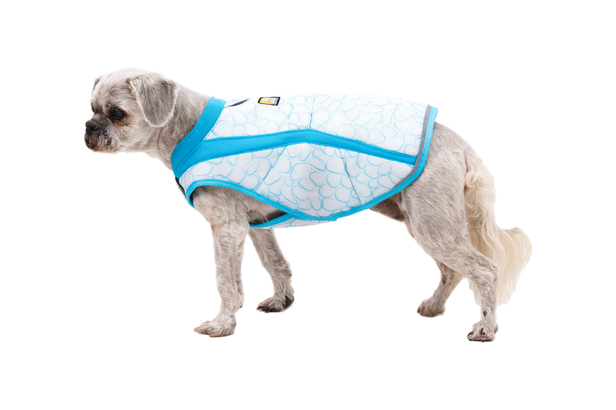 Ruffwear Swamp Cooler™ Vest Biolumin Blue