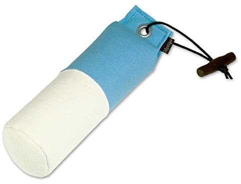 Mystique Dummy Marking