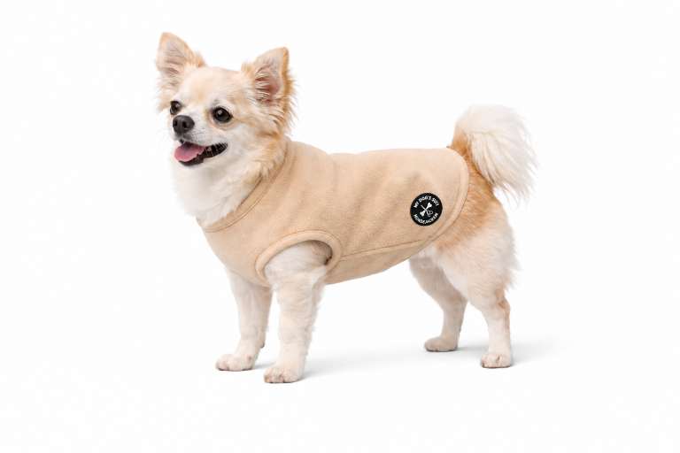 My Dog's Suit Hundepullover ivory sand