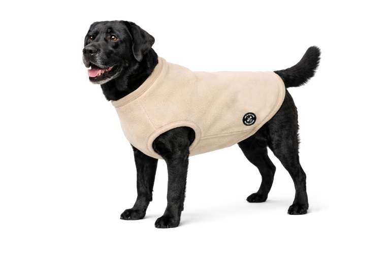 My Dog's Suit Hundepullover ivory sand