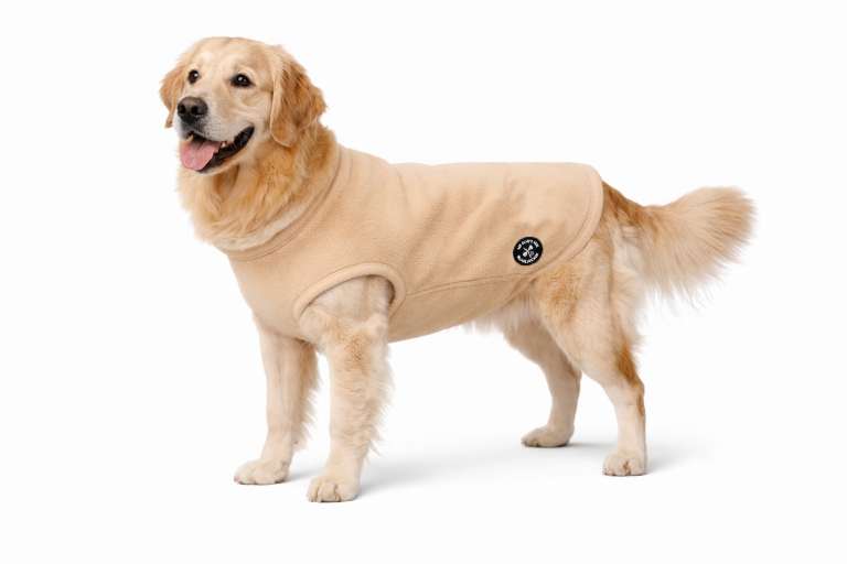 My Dog's Suit Hundepullover ivory sand