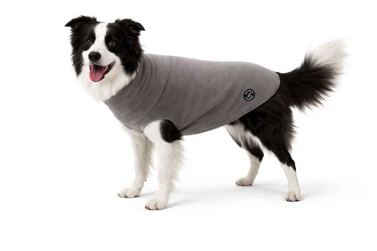 My Dog's Suit Hundepullover urban stony grey