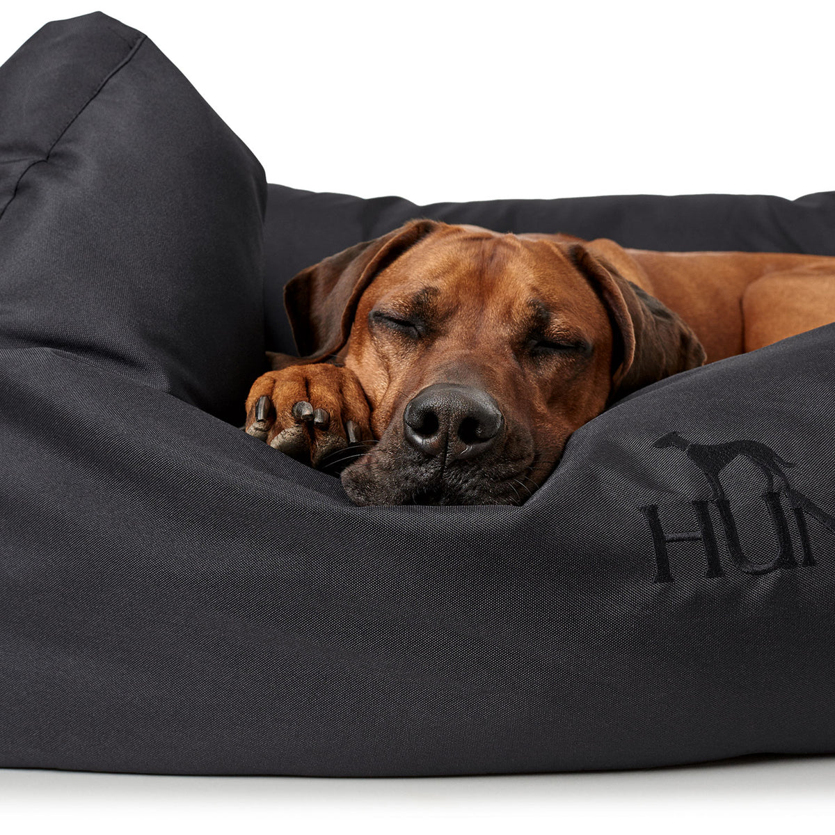 Hunter Hundesofa Gent antibakteriell, Silverplus & Bionic Finish C13