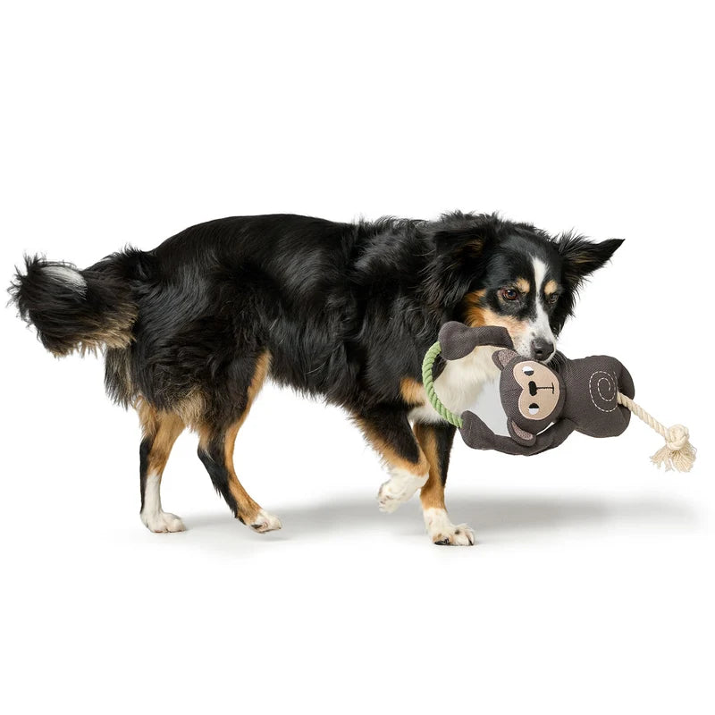 Hunter Recycling-Hundespielzeug Rio