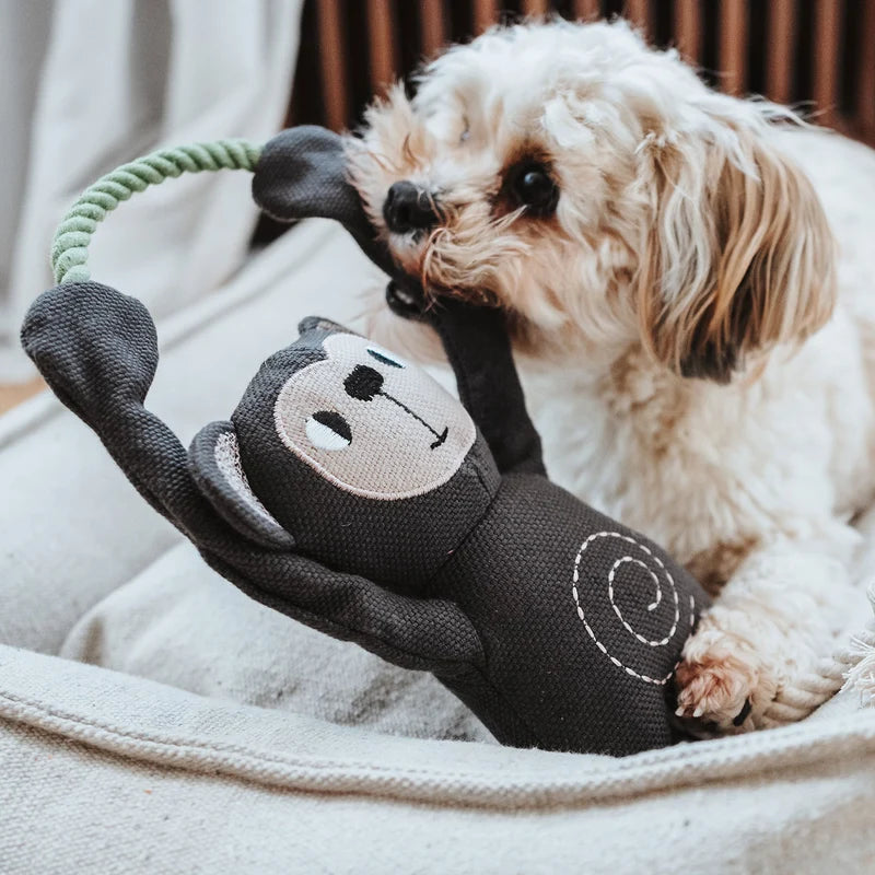 Hunter Recycling-Hundespielzeug Rio