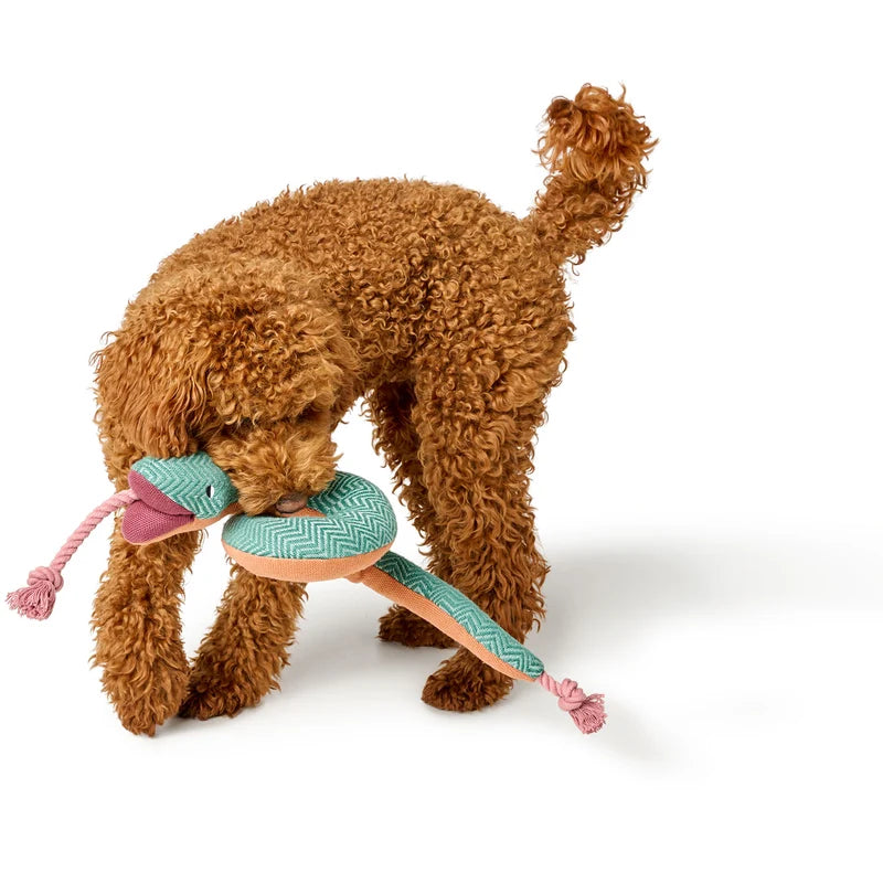 Hunter Recycling-Hundespielzeug Rio