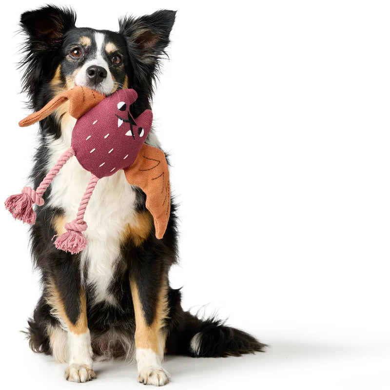 Hunter Recycling-Hundespielzeug Rio
