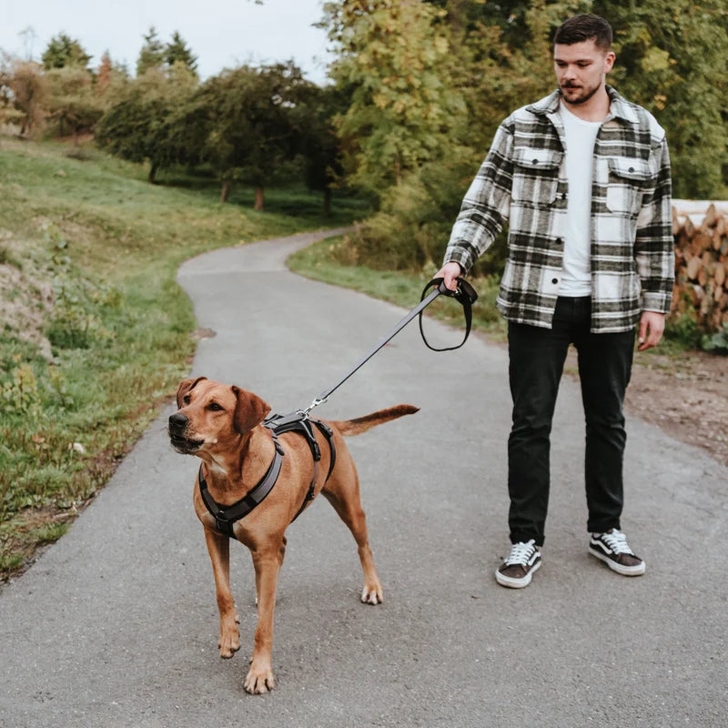 Hunter Sicherheitsgeschirr Maldon Mesh