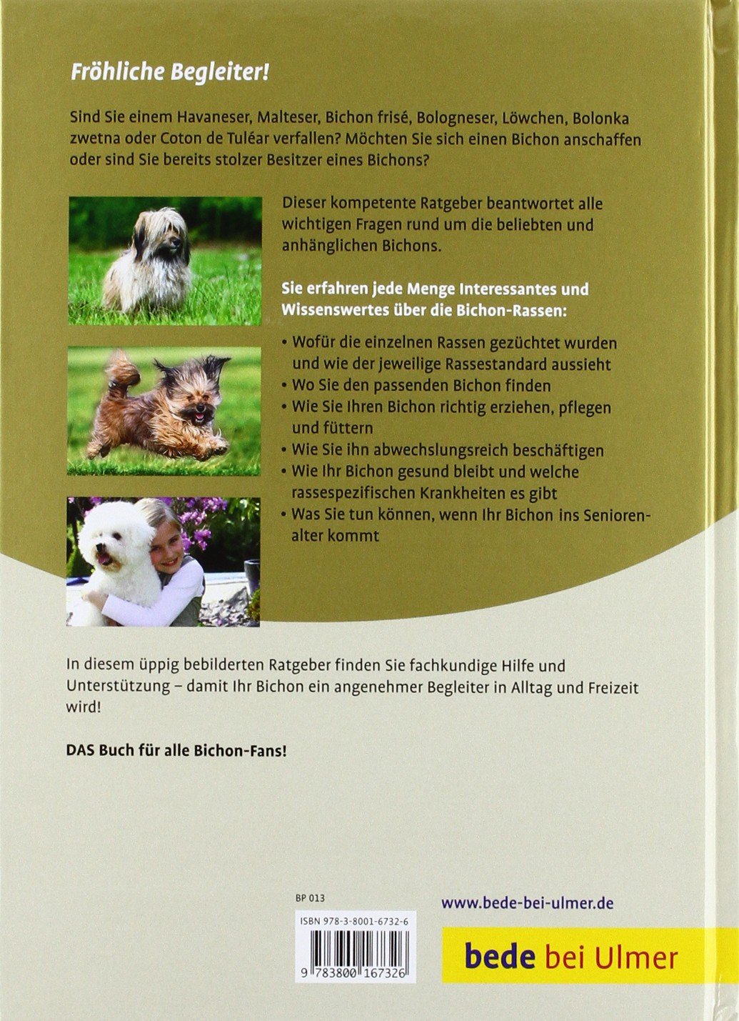 Ulmer - Bichon-Rassen. Malteser, Havaneser, Bichon Frisé, Bologneser, Löwchen, Bolonka Zwetna, Coton de Tuléar [Biala-Gauß, Schmitt (Hrsg.)]
