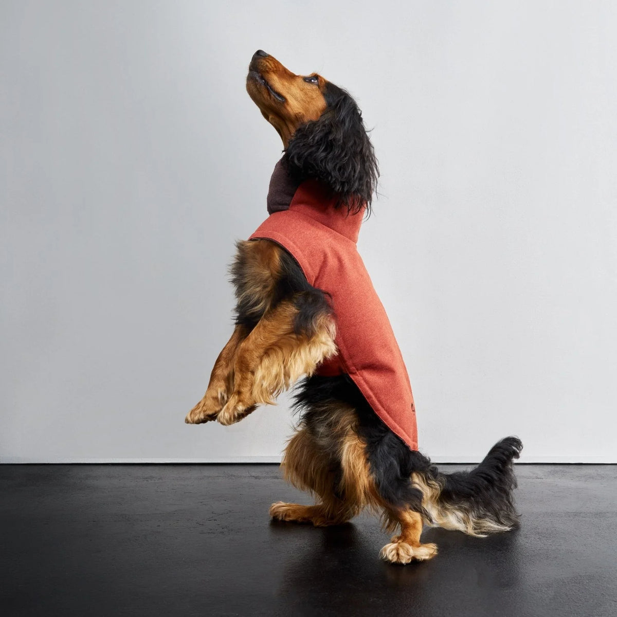 Cloud7 Hundemantel Brooklyn rust