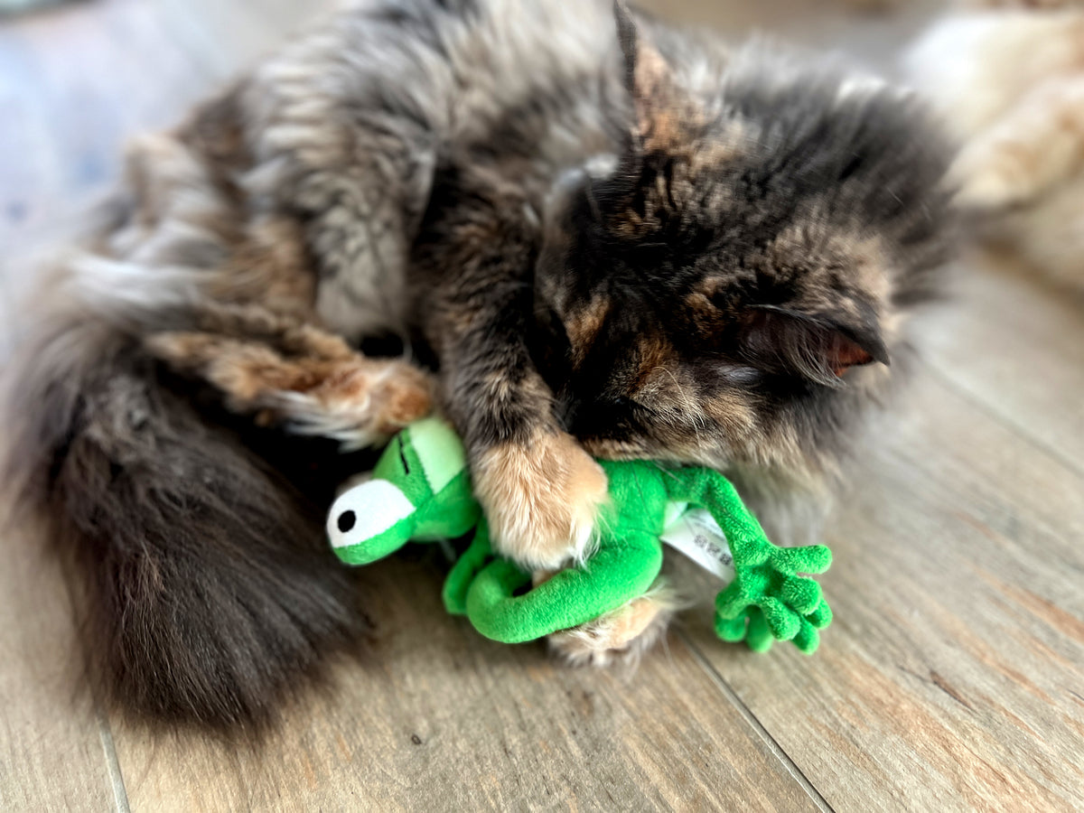 Aumüller Katzenspielzeug Chamäleon Olly