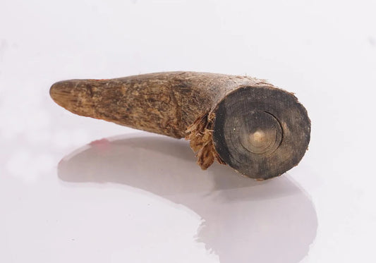 Hundemaxx Büffel-Kauhorn