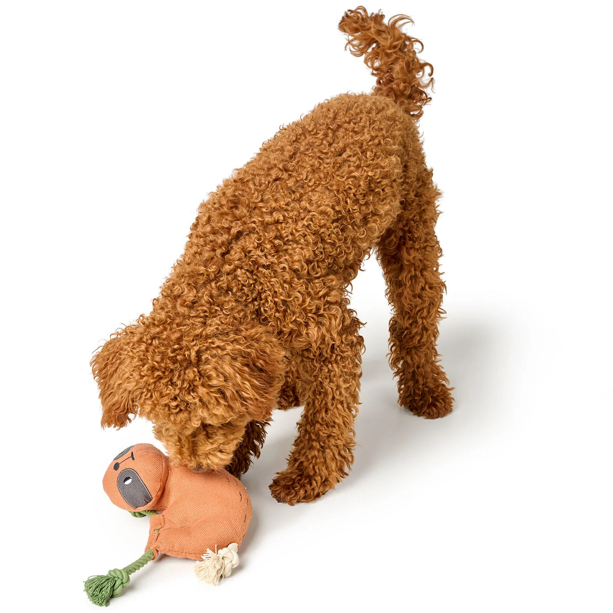 Hunter Recycling-Hundespielzeug Rio