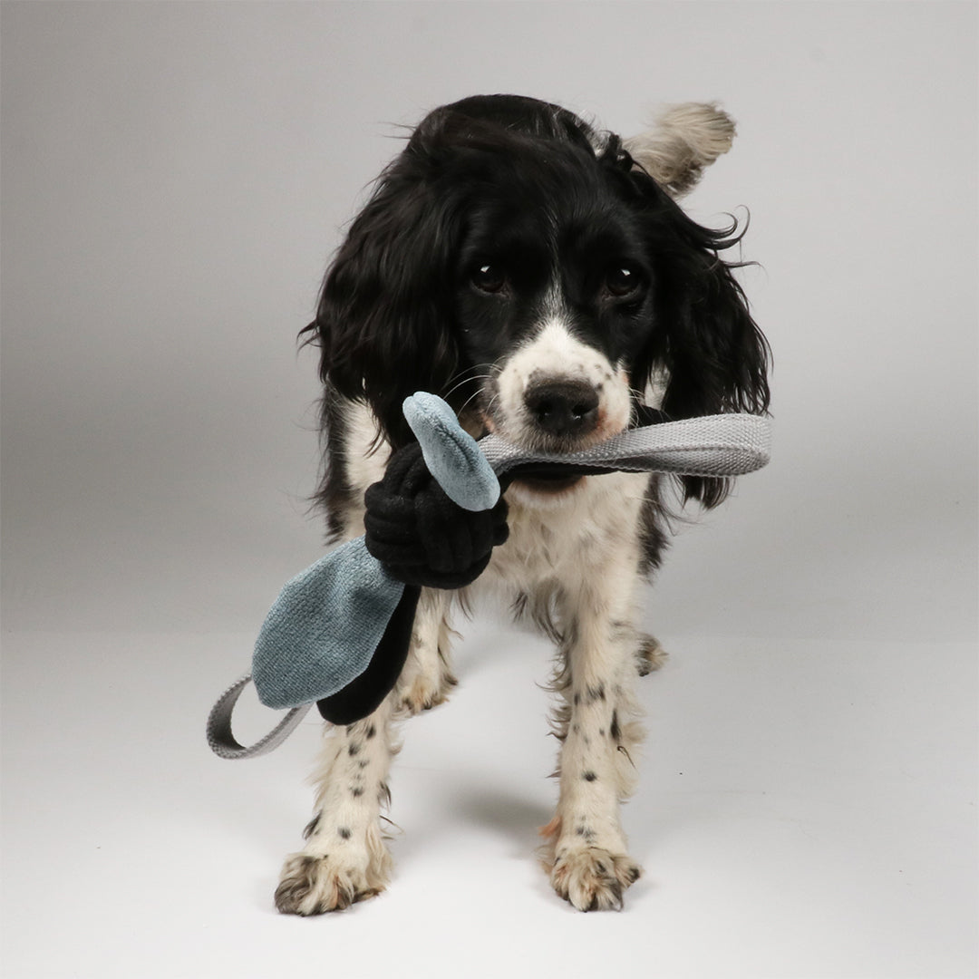 D&D Jule Hundespielzeug S 37cm