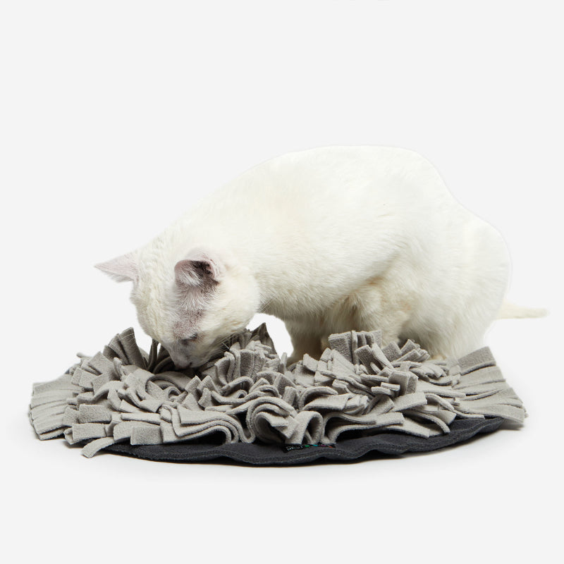 Knauder's Best Schnüffelrasen ® KATZE grau