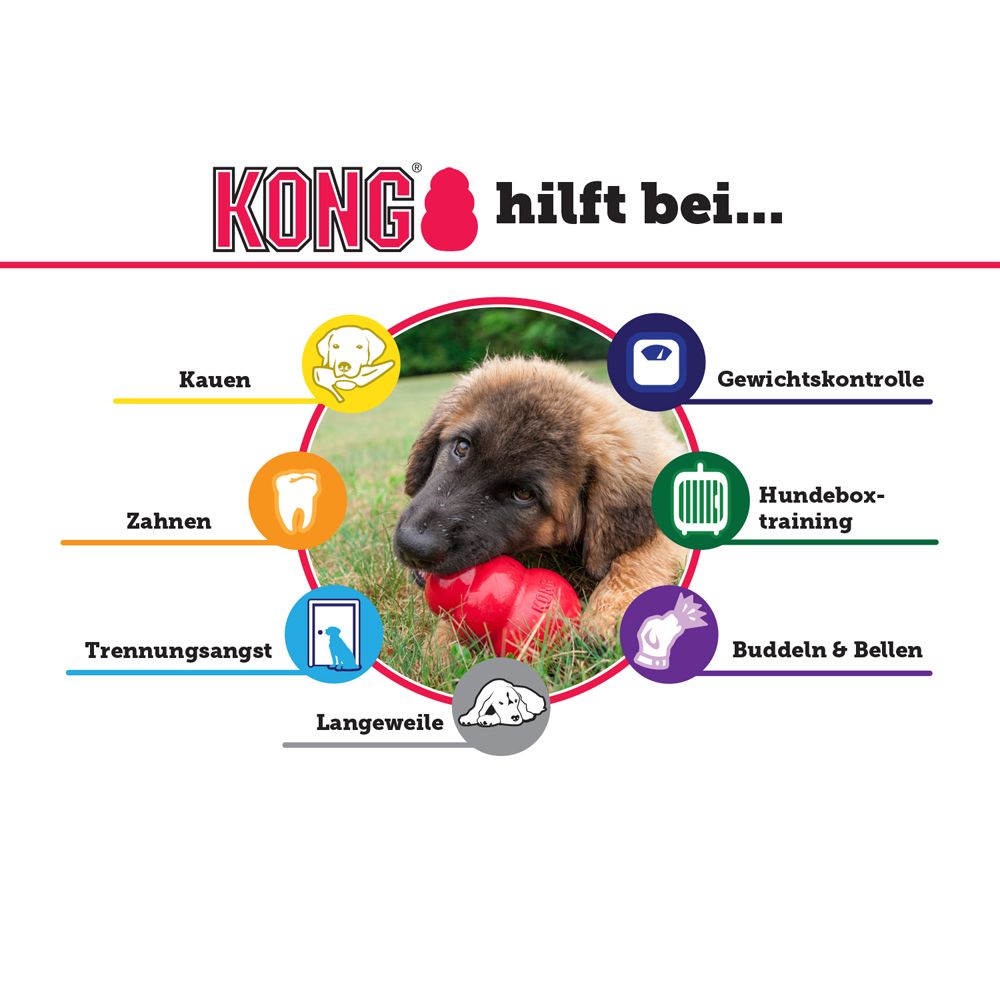 KONG Extreme