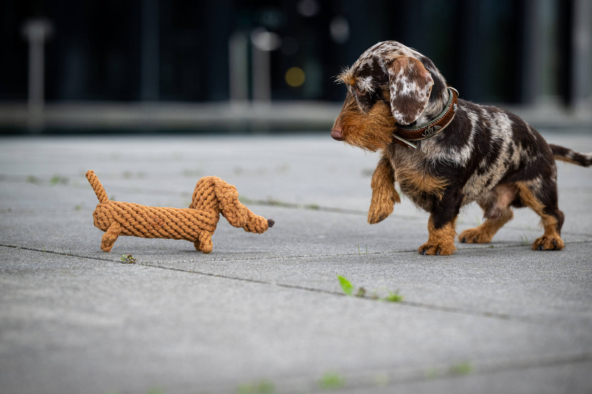 Laboni Hundespielzeug Diego Dackel hellbraun