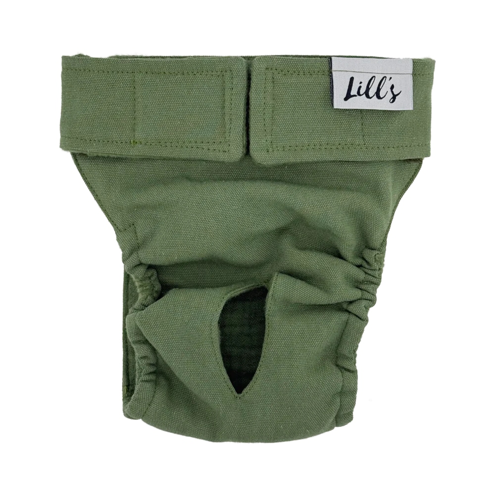 Lill's Läufigkeitshöschen aus Bio-Baumwolle Lou Olive
