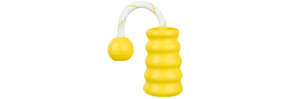 Trixie Dog Activity Mot-Fun, schwimmt 9cm/22cm