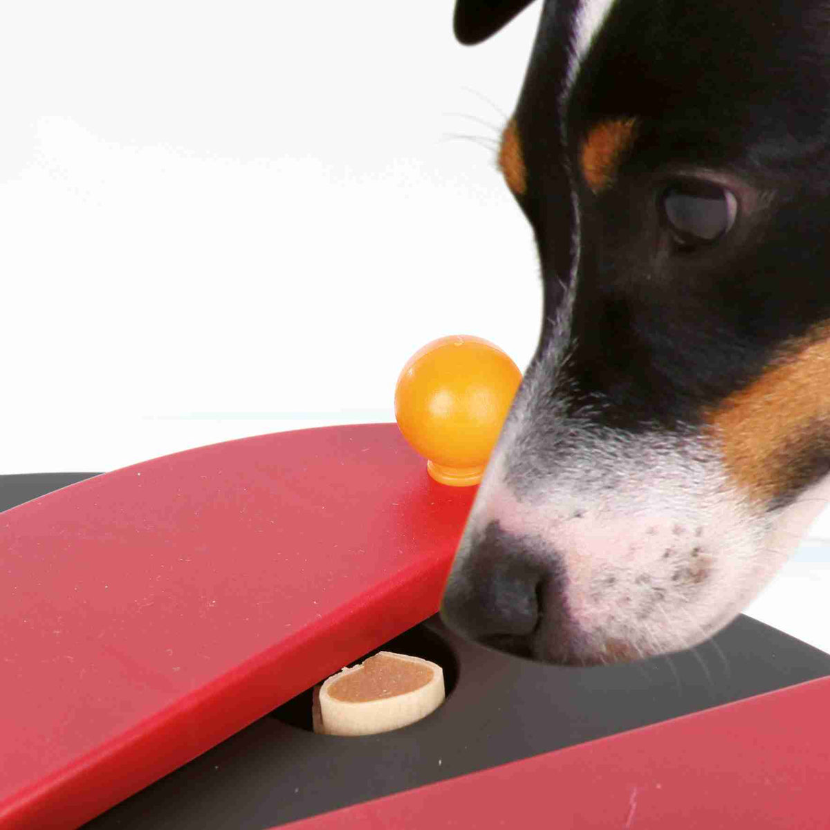 Trixie Dog Activity Push Away 25 × 17cm