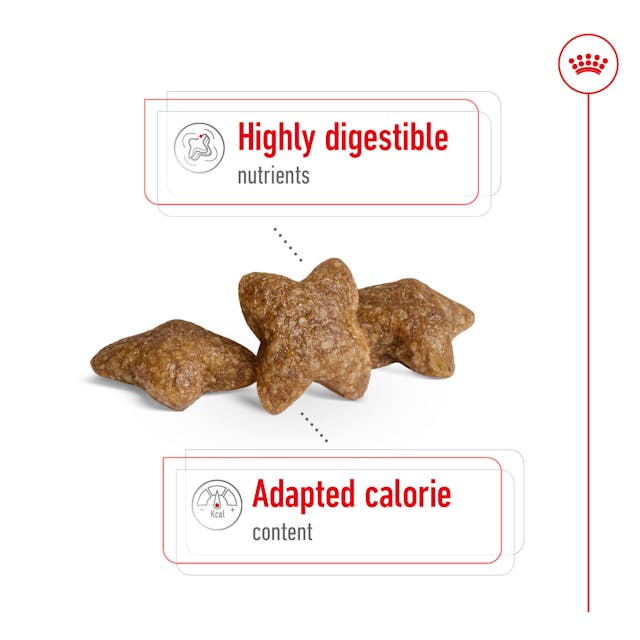 Royal Canin - Mini Hundefutter