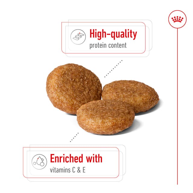 Royal Canin - Medium Hundefutter